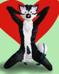 anthro balls black_body black_fur blue_stripes chest_tuft countershading erection fluffy fur genitals heart_symbol kneeling knot looking_at_viewer love male mint_green_wall navel penis pink_nose pose raised_arm solo stripes tuft white_body white_countershading white_fur deyja-morte rcfox canid canine fox mammal 2014 archived_source