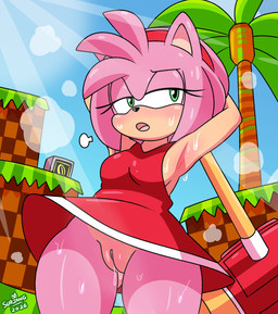 anthro biped bodily_fluids breasts clothed clothing detailed_background dress eyelashes female genital_fluids genitals hair no_underwear outside pink_body pink_hair pupils red_clothing solo sweat vulva surjang sega sonic_the_hedgehog_(series) amy_rose eulipotyphlan hedgehog mammal absurd_res hi_res