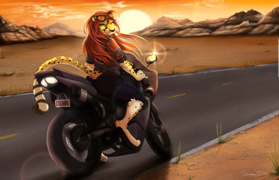 5_fingers anthro barefoot biped bottomwear claws cliffs clothing desert eyewear fangs feet female finger_claws fingers freeway fur goggles green_eyes hair jacket license_plate looking_at_viewer looking_back markings motorcycle multicolored_body multicolored_fur multicolored_tail open_mouth open_smile outside pants red_hair road sharp_teeth smile solo spots spotted_markings spotted_tail sun tail tail_markings teeth topwear two_tone_body two_tone_fur vehicle whiskers yellow_body yellow_eyes yellow_fur yoko_darkpaw cheetah felid feline mammal 2018 absurd_res hi_res signature