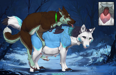 animal_genitalia animal_penis animal_vulva balls belly big_belly bodily_fluids canine_genitalia canine_penis canine_vulva collar duo erection female female_feral female_penetrated feral feral_on_feral feral_penetrated feral_penetrating feral_penetrating_feral fur genital_fluids genitals intraspecies knot knot_root knotted_penis knotting larger_female larger_feral larger_penetrated looking_back male male/female male_feral male_penetrating male_penetrating_female mating_grip nipples nude penetration penile penile_penetration penis pregnant pregnant_female pregnant_feral pregnant_sex sex sheath size_difference smaller_feral smaller_male tongue tongue_out vaginal vaginal_knotting vaginal_penetration vulva white_body truegrave9 sheppermint canid canine canis domestic_dog german_shepherd herding_dog mammal pastoral_dog wolf hi_res