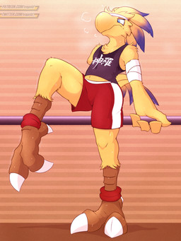 amputee ankle_band anthro athletic_wear avian_feet bandage bandaged_arm beak blue_eyes bodily_fluids bottomwear claws clothing disability exercise exercise_clothing feathered_crest feathered_tail feathers feet fitness head_crest male shirt shorts simple_background stretching sweat sweatdrop sweaty_clothing sweaty_legs tail tail_feathers talons tank_top text toes topwear workout vogold final_fantasy square_enix avian bird chocobo 3:4 digital_media_(artwork) hi_res japanese_text