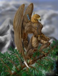 abs anthro armor beak biped branch brown_body brown_feathers claws clothed clothing cloud feathered_wings feathers front_view in_tree male melee_weapon mountain muscular muscular_anthro muscular_male on_branch outside pecs plant sky solo standing sword topless tree warrior weapon wings sudonym avian bird falcon falconid 1999