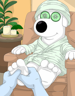 anthro bathrobe candle clothed clothing cucumber_on_eye feet foot_focus foot_rub humanoid_feet male on_model plantigrade robe soles solo spa_treatment towel towel_on_head palmer711 family_guy brian_griffin absurd_res digital_media_(artwork) hi_res