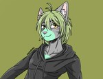 anthro green_hair hair koromigd male solo spike_the_furry geometry_dash domestic_cat felid feline felis mammal hi_res