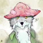 anthro clothing fluffy fungus hat headgear headwear male mushroom mushroom_hat relaxing simulated_traditional_(artwork) solo asquishybean canid canine canis mammal wolf 1:1 bust_portrait digital_media_(artwork) digital_painting_(artwork) digital_watercolor_(artwork) portrait