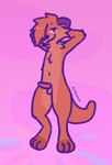 animal_genitalia animal_penis anthro blush bodily_fluids cum erection genital_fluids genitals hands_behind_head lagomorph_penis leaking leaking_cum looking_at_viewer male nude penis pink_background simple_background smile smiling_at_viewer solo standing eledensfw vtuber chester_the_otter mammal mustelid otter digital_media_(artwork)