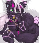 anthro bell bell_collar big_tail black_pubes collar cute_fangs ear_piercing feet female fur genitals green_eyes harness hindpaw horn kemono lgbt_pride magenta_horn magenta_pussy open_mouth pawpads paws piercing pink_pawpads pride_colors pride_pin pubes purple_body purple_collar purple_fur purple_harness pussy scar spread_legs spreading tail transgender_pride_colors two_tone_tail somberpaw domestic_cat felid feline felis mammal 2023 absurd_res digital_media_(artwork) hi_res trans_(lore) trans_man_(lore)