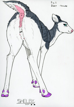 animal_genitalia animal_vulva anus black_tail blue_eyes cervine_genitalia cervine_vulva closed_smile female female_feral feral fur genitals glistening glistening_eyes grey_body grey_fur hooves looking_at_viewer mouth_closed pink_nose presenting presenting_anus presenting_vulva purple_hooves quadruped simple_background slight_smile smile solo tail text vulva white_background white_body white_fur white_tail sketchy_shelby shelby_(sketchy_shelby) deer mammal english_text hi_res