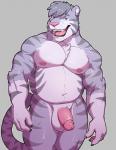 anthro balls barazoku circumcised flaccid genitals grey_background grin male musclegut muscular penis pose simple_background smile solo knuxlight justin_(ieaden) felid mammal pantherine tiger 2017 hi_res pinup