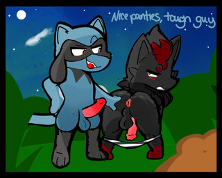 angry anus bottomwear clothing erection genitals hand_on_butt male male/male panties pattern_bottomwear pattern_clothing pattern_panties pattern_underwear penis standing striped_bottomwear striped_clothing striped_panties striped_underwear stripes underwear heyomaerow nintendo pokemon generation_4_pokemon generation_5_pokemon pokemon_(species) riolu zorua hi_res