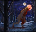 anthro black_bars blood blood_on_face bodily_fluids breath digitigrade forest full_moon fur glowing glowing_eyes growth hair male mid_transformation moon night nude open_mouth orange_body orange_fur orange_hair outside plant snow solo tail tail_growth tears transformation tree two_moons walking yellow_eyes 23daemon mythology canid canine human mammal mythological_canine mythological_creature werecanid werecanine werecreature werewolf hi_res letterbox
