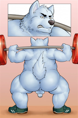 angry anthro anus barbell butt clothing crouching exercise fitness footwear genitals male nude overweight overweight_anthro overweight_male penis rear_view shoes slightly_chubby slightly_chubby_anthro slightly_chubby_male solo teeth weightlifting workout meguru_salmon canid canine canis domestic_dog mammal digital_media_(artwork) hi_res