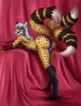 anthro bell blue_hair bulge butt clothed clothing collar crossdressing digitigrade eyewear femboy fishnet_clothing glasses hair heterochromia male multi_tail panties presenting smile solo tail underwear wolfpsalm neko_ed canid canine cheetah felid feline fox hybrid mammal absurd_res hi_res