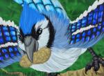 beak blue_body blue_feathers feathers food fruit legume nut_(fruit) peanut_(food) plant solo conditional_dnp wolftacos avian bird blue_jay corvid jay_(bird) new_world_jay oscine passerine 2019 digital_drawing_(artwork) digital_media_(artwork) hi_res