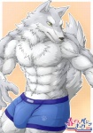 abs anthro athletic biceps big_muscles biped blue_clothing blue_underwear bottomwear boxer_briefs bulge chest_tuft clothed clothing flexing fur grey_body grey_fur male muscular muscular_anthro muscular_male orange_background pecs pose shorts simple_background solo standing tail text topless tuft underwear white_body white_fur yellow_eyes wildheit canid canine canis mammal wolf 2011 japanese_text