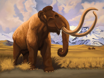 amazing_background amazing_detail brown_body brown_fur cloud detailed_background feral fur grass huge_tusks male mountain plant proboscis_(anatomy) quadruped sky snow solo steppe trunk_(anatomy) tusks young agustindiazart steppe_mammoth 2025 4:3 detailed hi_res
