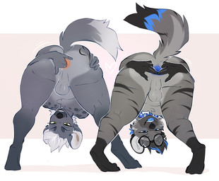 anal anal_fingering anal_masturbation anthro anus ass_up bent_over big_butt blue_anus butt collar duo eyewear eyewear_only fingering fingering_self fur glasses glasses_only grey_body grey_fur looking_at_viewer looking_back looking_back_at_viewer looking_through_legs_at_viewer male male/male masturbation nude nude-male presenting presenting_hindquarters round_glasses side_by_side spread_anus spreading take_your_pick wearing_glasses letsdrawcats cristyfur hyena mammal hi_res