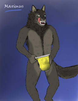 anthro brown_body brown_fur bulge clothed clothing fangs fur green_eyes hand_in_underwear jockstrap licking licking_lips male neck_tuft pubes solo suggestive_look tail teeth tongue tongue_out tuft underwear underwear_only yellow_clothing yellow_underwear maximuswolf mythology maximus_(maximuswolf) canid canine mammal mythological_canine mythological_creature werecanid werecanine werecreature werewolf absurd_res hi_res