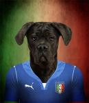 anthro italian italy male soccer solo sport unknown_artist puma_(company) cane_corso canid canine canis domestic_dog mammal mastiff molosser 2014