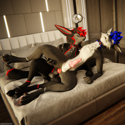 anal anal_penetration animal_genitalia animal_penis anthro anthro_on_anthro anthro_penetrated anthro_penetrating anthro_penetrating_anthro balls bed bedroom bedroom_sex biped black_body black_fur bodily_fluids canine_genitalia canine_penis claws clothing collar cum cum_dripping_from_penis cum_in_ass cum_inside cum_on_penis depth_of_field dominant duo erection feet fur furniture genital_fluids genitals grey_body grey_fur hair hindpaw inside knot lying lying_on_bed male male/male male_penetrated male_penetrating male_penetrating_male multicolored_body nude on_bed open_mouth orgasm paws penetration penile penile_penetration penis penis_in_ass pink_penis red_body red_fur red_penis reflection sex slim slim_anthro slim_male slim_sub smile submissive submissive_male tail white_body white_fur dragonplayer canid canine canis fox mammal rexouium 1:1 3d_(artwork) absurd_res blender_(artwork) blender_cycles_(artwork) digital_media_(artwork) hi_res