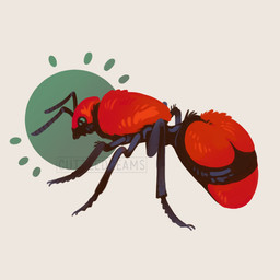 6_legs ambiguous_gender antennae_(anatomy) arthropod_abdomen black_body black_eyes circle compound_eyes feral fluffy fur multi_limb red_body red_fur segmented_body side_view simple_background solo white_background cuttledreams arthropod hymenopteran insect velvet_ant wasp 1:1 digital_drawing_(artwork) digital_media_(artwork) watermark