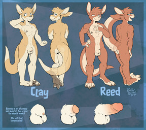 abs animal_genitalia anthro ball_fluff balls becoming_erect blue_eyes digit_ring duo feet genitals green_eyes humanoid_genitalia humanoid_penis hybrid_genitalia hybrid_penis jewelry male married_couple nipples nude nude_anthro nude_male paws penis ring sheath sheathed_humanoid_penis text translucent wedding_ring worried rick_griffin campus_avenue clay_(rick_griffin) reed_(rick_griffin) kangaroo macropod mammal marsupial 2020 english_text hi_res model_sheet