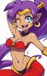 blue_eyes breasts clothing dark_body dark_skin ear_piercing female hair humanoid_pointy_ears long_hair navel not_furry one_eye_closed open_mouth piercing pointy_ears ponytail purple_hair simple_background solo wink dmy-gfx shantae_(series) wayforward shantae genie humanoid