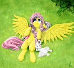 anthro blue_eyes duo eyes_closed feathered_wings feathers female fluffy fluffy_tail fur grass hair long_hair looking_up male outside pink_hair plant semi-anthro tail white_body white_fur wings yellow_body yellow_feathers yellow_fur balderdash999 friendship_is_magic hasbro my_little_pony mythology angel_(mlp) fluttershy_(mlp) equid equine lagomorph leporid mammal mythological_creature mythological_equine pegasus rabbit absurd_res hi_res signature