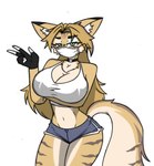 anthro big_breasts blush bottomwear breasts choker cleavage clothed clothing crop_top face_mask female fluffy hotpants jewelry necklace shirt shorts small_waist solo topwear wide_hips pace-maker mihoyo zenless_zone_zero pulchra_fellini domestic_cat felid feline felis mammal thiren