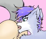 abstract_background anal anthro anus blue_body blue_eyes blue_fur duo female fur genitals hair male male/female male_rimming_female multicolored_body open_mouth oral orange_hair purple_hair pussy rimming sex simple_background tail two_tone_body white_body white_fur skbld twokinds raine_silverlock sane_(skbld) animal_humanoid canid canid_humanoid canine canine_humanoid canis humanoid mammal mammal_humanoid wolf