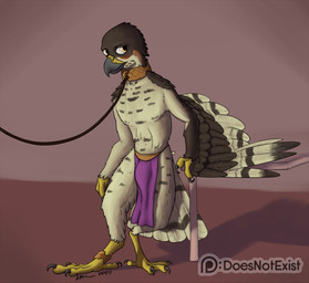 4_toes anisodactyl anklet anthro avian_feet beak biped blush bottomwear brown_body brown_feathers clothing collar feathered_wings feathers feet jewelry leash loincloth male orange_eyes slave solo standing tan_body tan_feathers toes wings doesnotexist lief_woodcock accipiter accipitrid accipitriform avian bird eurasian_sparrowhawk true_hawk 2017 digital_media_(artwork) hi_res