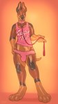 animate_inanimate anthro brown_body bulge canid clothing collar detailed_bulge front_view full-length_portrait hand_on_hip heterochromia hi_res holding_leash holding_object inflatable leash living_inflatable makks male mammal orange_body panties pink_clothing pink_collar pink_panties pink_topwear pink_underwear portrait purple_eyes red_eyes seraphictiger solo standing topwear underwear