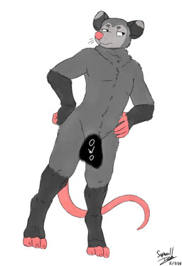 ambiguous_gender anthro censored_genitalia fur grey_body grey_fur half-closed_eyes looking_offscreen narrowed_eyes neck_tuft owo pink_nose simple_background solo tail tuft unimpressed sopwall lupo_(lupopossum) american_opossum mammal marsupial 2026 censored digital_media_(artwork) hi_res signature