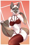 anthro bra clothing female leash legwear lingerie solo tail thigh_highs underwear buffreyra noemi_(eag1e) birman_cat domestic_cat felid feline felis mammal digital_media_(artwork) hi_res