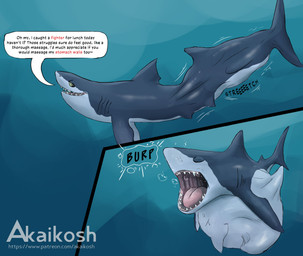ambiguous_gender belly big_belly burping dialogue dorsal_fin duo eyes_closed feral feral_pred feral_prey fin green_fin grey_body grey_fin multiple_prey open_mouth shark_tail shark_teeth speech_bubble tail_bulge talking_feral text tongue vore white_belly akaikosh aquatic cetacean fish mammal shark 2024 comic english_text hi_res