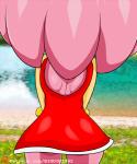 anthro big_eyes big_head bottomwear butt clothed clothing female flower panties plant rose_(flower) skirt solo tail tail_under_skirt toony underwear bigdon1992 sega sonic_the_hedgehog_(series) amy_rose eulipotyphlan hedgehog mammal 2017 2d_animation 5:6 animated frame_by_frame loop short_playtime