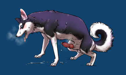 animal_genitalia animal_penis balls blue_eyes blush bodily_fluids canine_genitalia canine_penis censor_bar erection feral fur genital_fluids genitals ineffective_censorship knot male multicolored_body multicolored_fur open_mouth penis precum rounded_back solo sweat tongue tongue_out two_tone_body two_tone_fur denmoko canid canine canis domestic_dog husky mammal nordic_sled_dog spitz censored hi_res