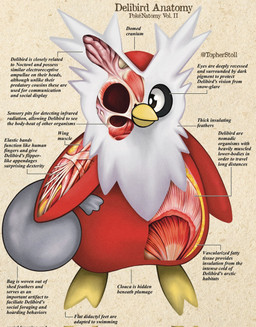 ambiguous_gender anatomy anthro beak beak_closed biped black_eyes cross_section front_view holding_bag looking_aside mouth_closed multicolored_body paper_background pupils red_body semi-anthro simple_background solo tan_background text twitter_handle white_body white_pupils white_sclera yellow_beak yellow_body christopher_stoll nintendo pokemon pokenatomy delibird generation_2_pokemon pokemon_(species) 2022 biological_illustration copyright_name digital_drawing_(artwork) digital_media_(artwork) english_text full-length_portrait hi_res portrait species_name technical_illustration