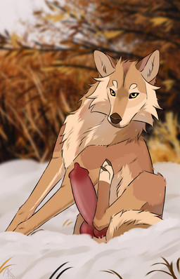 animal_genitalia animal_penis big_penis brown_claws brown_nose canine_genitalia canine_penis claws erection feral fur genitals grass knot knotted_penis male nude on_ground outside penis plant realistic_feral red_penis sitting snout snow solo tail tan_body tan_fur yellow_eyes midzushiro canid canine canis mammal wolf colored digital_drawing_(artwork) digital_media_(artwork) hi_res shaded
