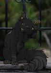 ambiguous_gender black_body black_fur ear_piercing ear_ring feral fur pawpads piercing ring_piercing solo yellow_nose kero_tzuki domestic_cat felid feline felis mammal 2023 digital_media_(artwork) hi_res