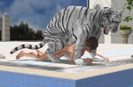 3d_(artwork) all_fours bestiality digital_media_(artwork) doggystyle duo felid female female_on_feral feral from_behind_position human human_on_feral interspecies leucistic male male/female male_on_human mammal pantherine realistic_feral sex tiger unknown_artist