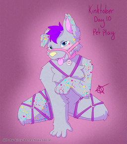 anthro bdsm bondage bound collar collar_tag male muzzle_(object) muzzled petplay restraints roleplay rope rope_bondage rope_harness solo freak_magic1369 kinktober kinktober_2024 sweet_tart_(freak_magic1369) canid canine canis domestic_dog husky mammal mixed_breed nordic_sled_dog shiba_inu spitz 2024 absurd_res adversarial_noise hi_res