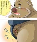 2022 anthro asian_clothing balls belly blush brown_body brown_fur canid canine clothing dekatanu duo east_asian_clothing flaccid fur genitals humanoid_genitalia humanoid_hands humanoid_penis japanese_clothing japanese_text kemono male mammal mawashi micro overweight overweight_male penis suid suina sus_(pig) text translation_request wild_boar