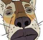 anthro lips male solo unknown_artist moses_(samur_shalem) canid canine canis coyote mammal meme