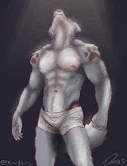 anthro fur grey_body grey_fur male riodekito solo tail davias00 karikore canid canine canis mammal wolf hi_res
