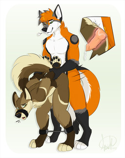 anal anal_penetration animal_genitalia animal_penis anthro anthro_on_anthro anthro_penetrated anthro_penetrating anthro_penetrating_anthro bent_over bindings biped bodily_fluids brown_body brown_fur canine_genitalia canine_penis cum dominant duo fur genital_fluids genitals male male/male male_penetrated male_penetrating male_penetrating_male muzzle_(object) muzzled orange_body orange_fur penetration penile penile_penetration penis penis_in_ass restraints sex simple_background snout spreader_bar submissive kwik_(artist) canid canine fox mammal 2019 signature