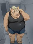 anthro belly bottomwear clothing eyewear footwear glasses humanoid_hands male overweight overweight_anthro overweight_male sandals shirt shoes shorts solo topwear train5 train_(artist) mammal suid suina sus_(pig) wild_boar 2019 3:4 hi_res