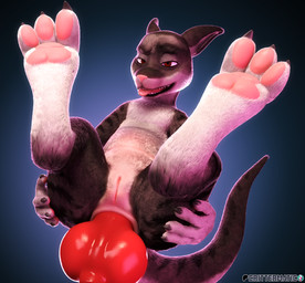 anal animal_genitalia anthro canine_genitalia female genitals knot looking_at_viewer paws solo conditional_dnp crittermatic biscuit_(crittermatic) macropod mammal marsupial 3d_(artwork) digital_media_(artwork) hi_res
