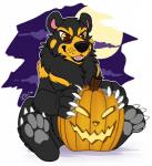 black_body black_fur black_lips feral food fruit fur holidays jack-o'-lantern lips open_mouth plant pumpkin simple_background sitting smile solo teeth tongue yellow_eyes citrinelle halloween bear mammal 2016 digital_media_(artwork)