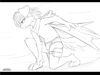 anthro briefs cloak clothing kemono kneeling male male_anthro pantsless_anthro pantsless_male solo underwear snowybark snowdrift_(snowstormbat) border_collie canid canine canis collie domestic_dog herding_dog mammal pastoral_dog sheepdog hi_res monochrome sketch